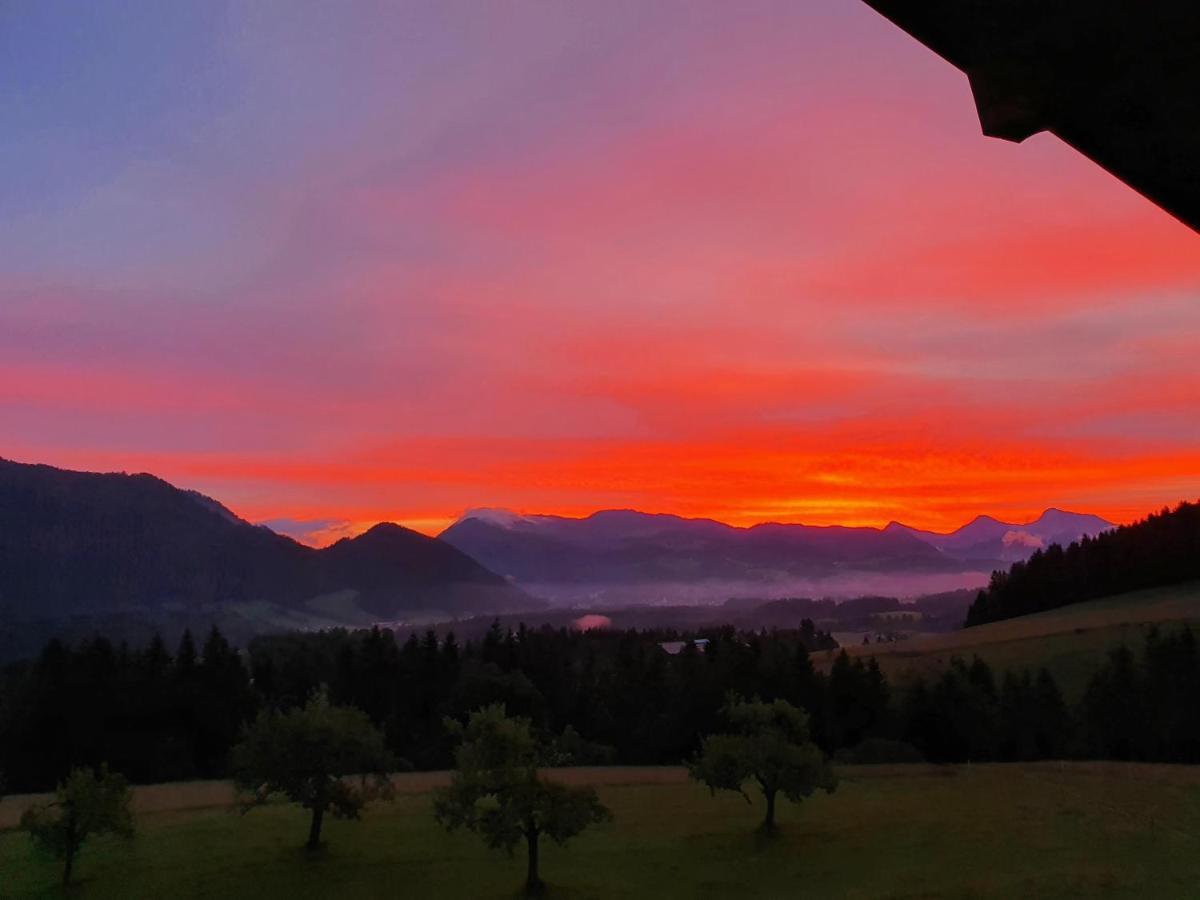 Zasserlhof Familie Bamberger Kossen Luaran gambar